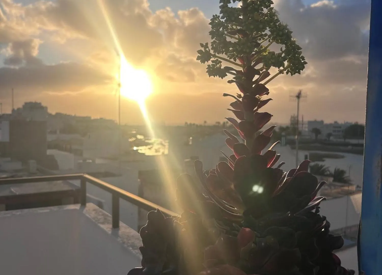 La Buganvilla House Arrecife